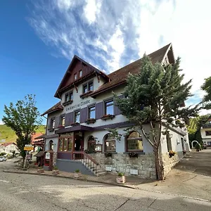 hotel-traube-baden-baden-76534.hotelsheidelberg.net/
